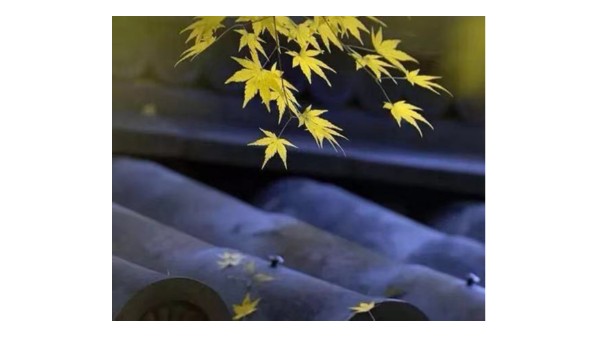 家，可以再多一點(diǎn)美